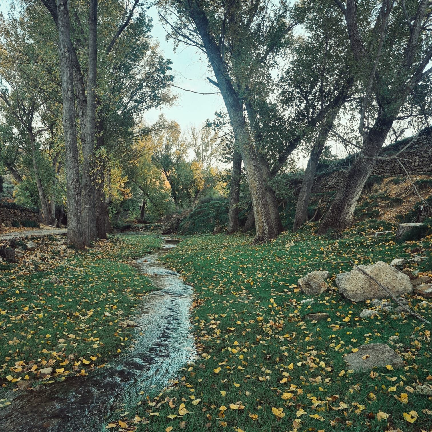 Río Monlleó en otoño cerca de La Llar del Maestrat