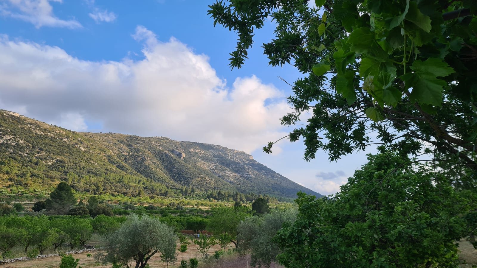 Sierra Esparraguera cerca de La Llar del Maestrat